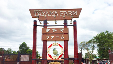 ป้ายโครงการ TAYAMA FARM เขาใหญ่